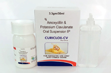 pcd pharma company in gujarat